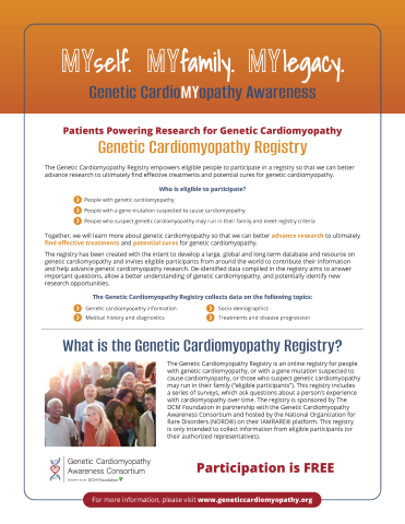 DCM Foundation Virtual Bag Insert