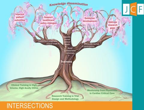 Visual Take Home Graphic. Lessons learned from the CAPITAL DOREMI trial